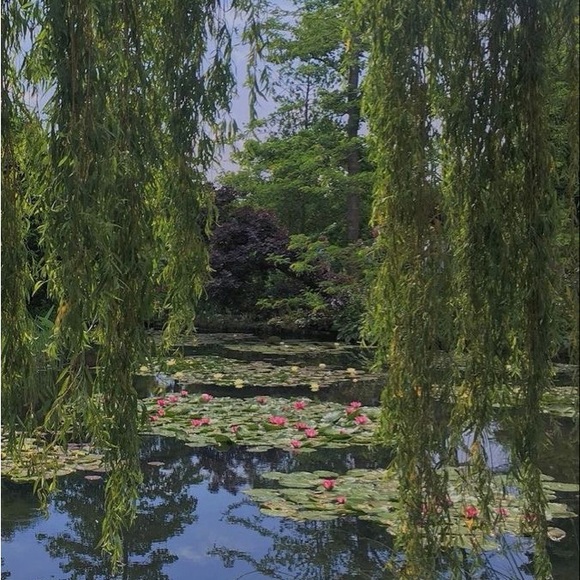 💐🌸 Spring Closet Clear Out!! 🌸💐 - Picture 6 of 11